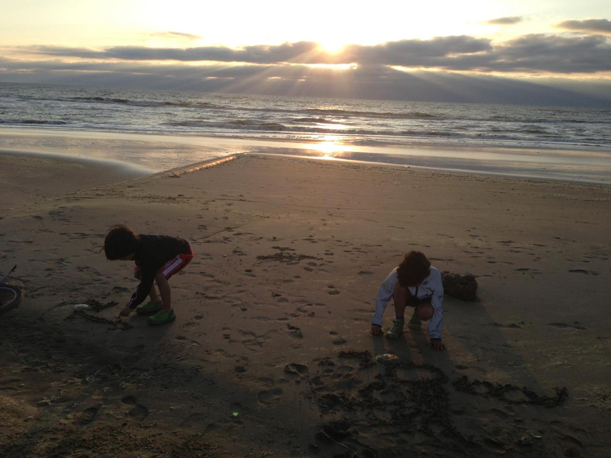 Beach Rose, 1 Free Parking, 2 Min. From Beach, Jacuzzi Noordwijk Exteriör bild